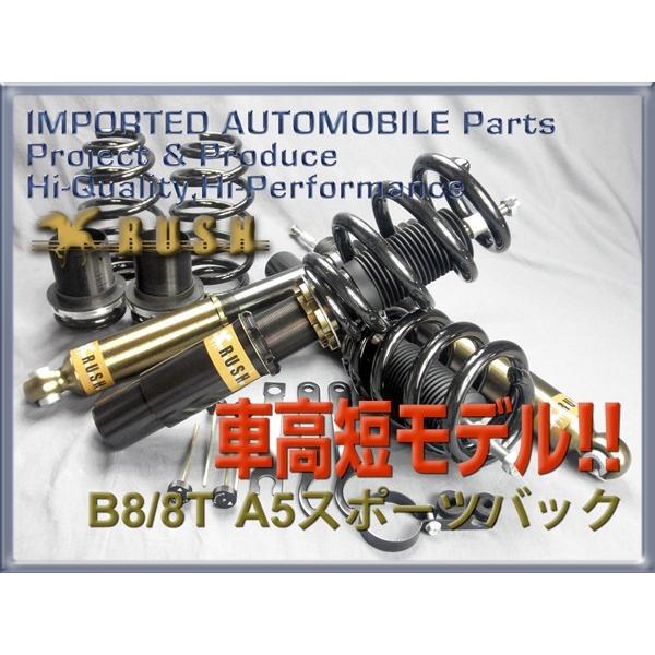 AUDI A5 スポーツバック B8 RUSH 車高調 IMPORT CLASS Damper AUDI A5 スポーツバック B8 RUSH 車高調 IMPORT CLASS Damper