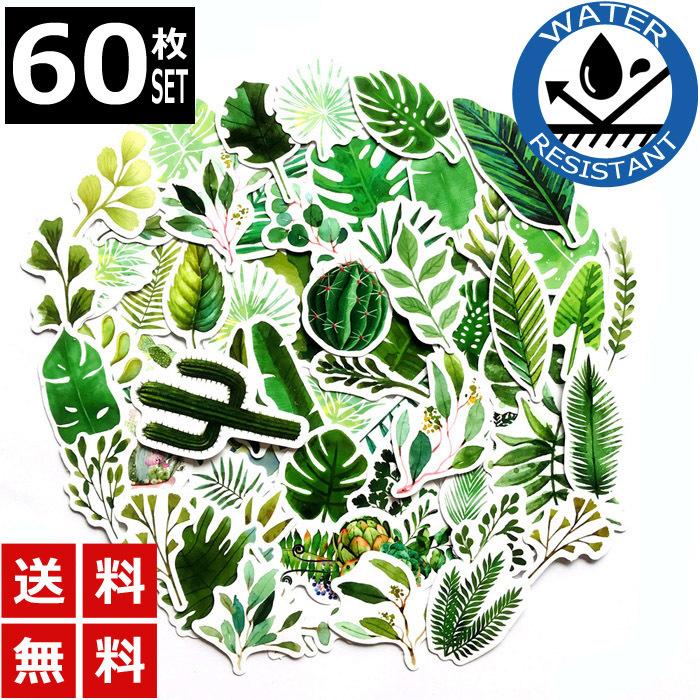 60枚 ステッカー 植物 グリーン 葉っぱ 防水 耐水 シール