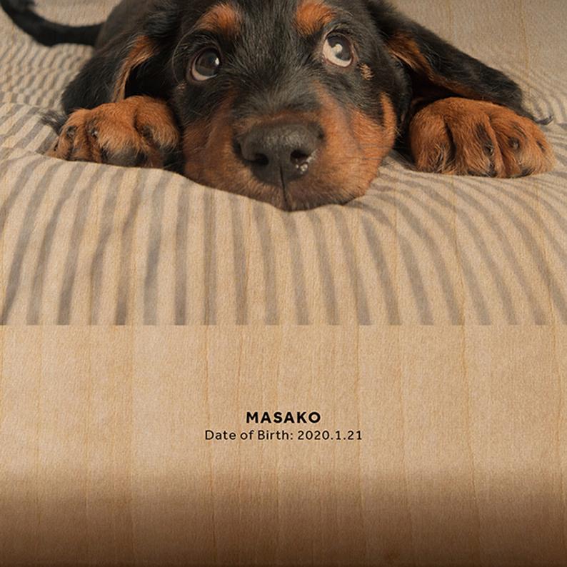 【ペット】ウッドプリントMINI 写真 メモリアルプレート フォトフレーム おしゃれ 北欧 写真立て プリント 名入れ 記念グッズ 木製 |  | 03