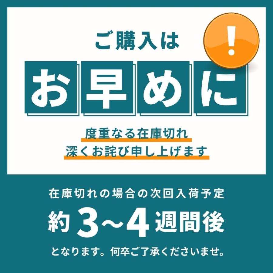 ランチバッグ メンズ 子供 保冷 保温 おしゃれ 大きめ  レディース 大容量 お弁当袋 横入れ コンパクト 水筒 ピクニック 保冷バッグ 最強｜usagi-pharmacy｜15