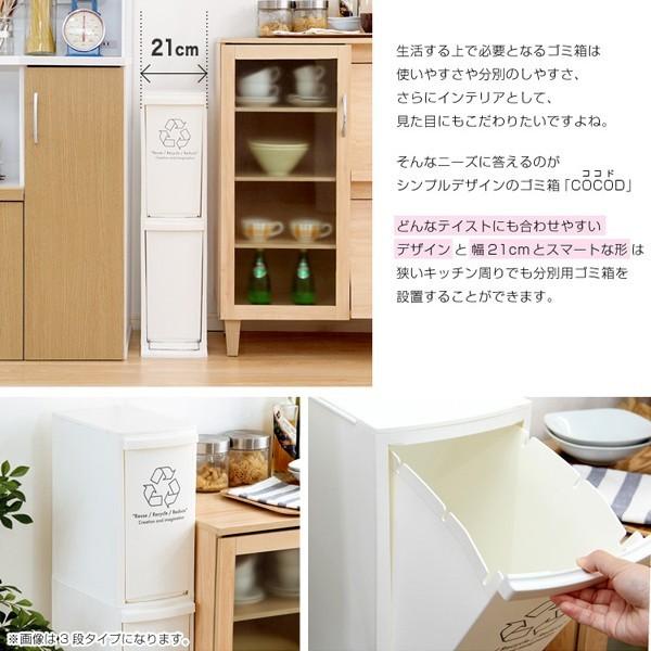 東谷 ゴミ箱 2分別 2段 ペダル スリム 20リットル 縦型 キッチン