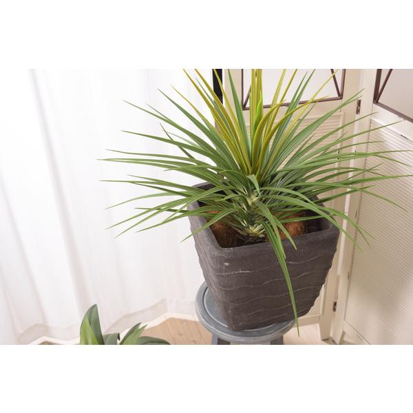 プランター カバー 鉢 円形 丸い ベース 容器 入れ物 装飾 飾り 鉢植え 観葉植物用 インテリアグリーン かっこいい おしゃれ 高級感 ガーデニング 園芸用品 うさぎ屋 株式会社一兎 通販 Paypayモール