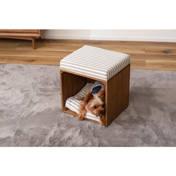 東谷 ペットスツール 椅子 腰掛け スツール 犬 イヌ 猫 ネコ 座布団