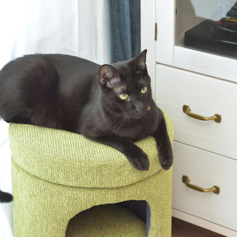 東谷 ペットハウス 猫 ねこ ネコ スツール 椅子 収納 脚つき