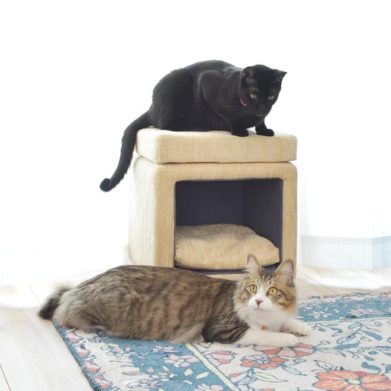 東谷 ペットハウス 猫 ねこ スツール 椅子 収納 脚つき インテリア