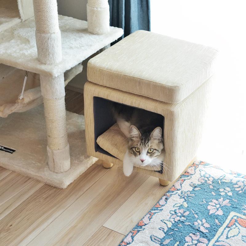 東谷 ペットハウス 猫 ねこ スツール 椅子 収納 脚つき インテリア