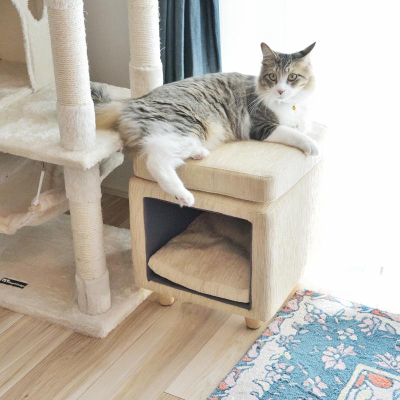 動物デザイン スツール　猫？ライオン？【土日配送】 スツール アニマル ライオン - メルカリ