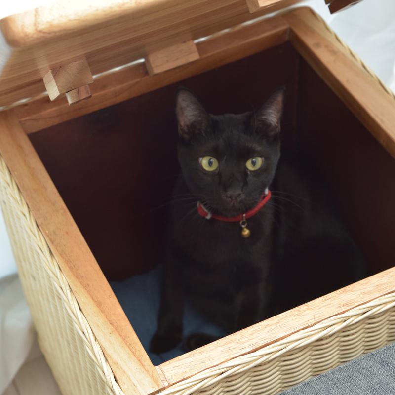東谷 - 愛玩動物住み処 猫 猫 ねこ 腰かけ 居敷き サイドテーブル 納める 脚付き添い人 室内装飾 カントリー ひな形 ラタン原料品 生まれながら木製 プレイグランド 愛玩動物 座布団付き添い人