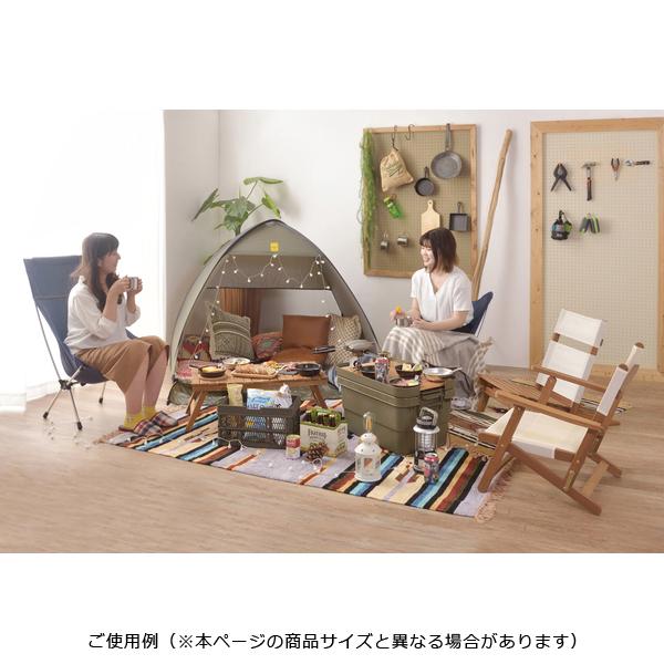 収納ボックス トランクカーゴ 収納ケース 衣類 ふた付き 蓋 座れる おしゃれ 道具箱 工具箱 ツールボックス ガレージ アウトドア キャンプ 釣り道具 日本製 | 東谷 | 22