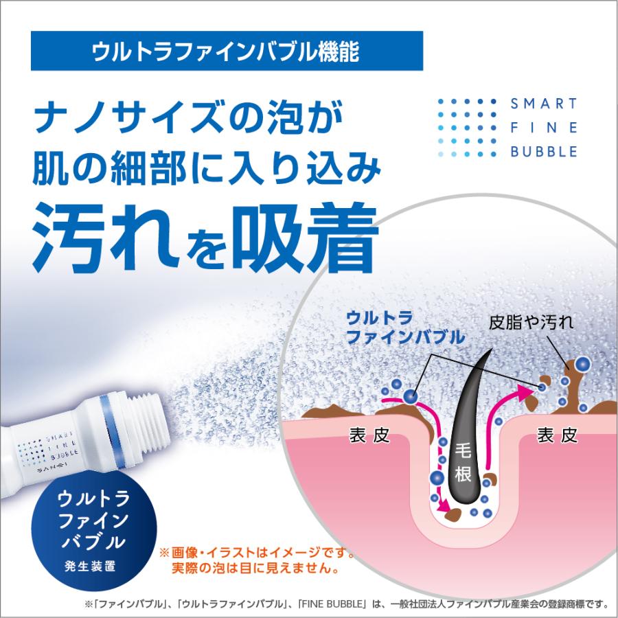 シャワーヘッド 交換 浄水 シャワーセット ウルトラファイン