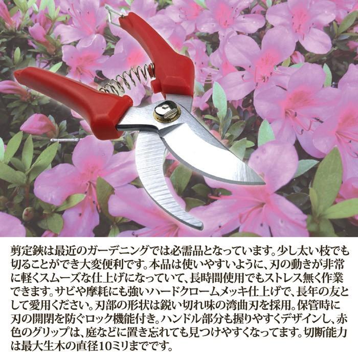 剪定鋏 バネ 植木鋏 生け花 園芸用 ハサミ : うさぎ屋 インテリア&DIY