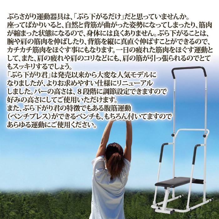 ぶら下がり健康器 効果 ぶら下がり 筋トレ 健康器 ぶら下がり器具 腹筋 