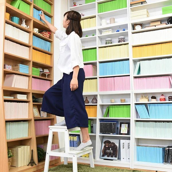 大容量 薄型 スリム 大型 頑丈 仕切り 棚板 本棚 上置きセット