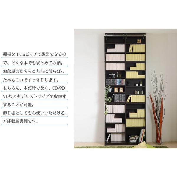 JK-PLAN（ジェイケイ・プラン） 本棚 上置き セット 上置き棚 天井