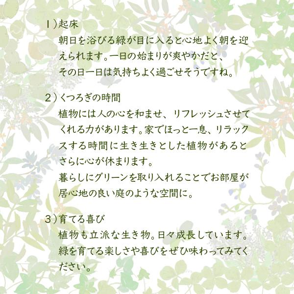 JK-PLAN（ジェイケイ・プラン） テレビ台 40インチ対応 40型 テレビ