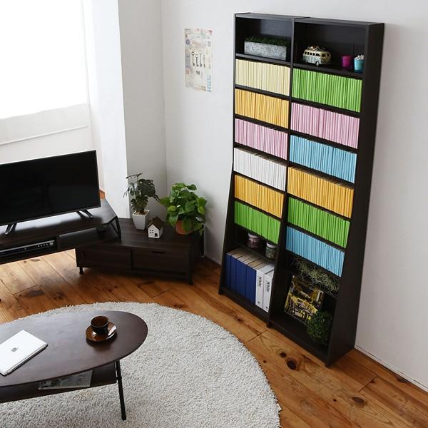 薄型本棚 JK-PLAN（ジェイケイ・プラン） 本棚 薄型 スリム 大容量 壁面収納 棚