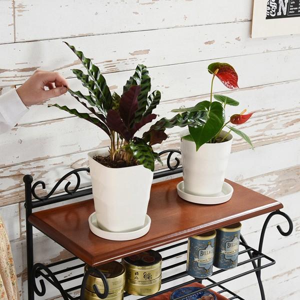 JK-PLAN（ジェイケイ・プラン） シューズラック 靴箱 オープンラック