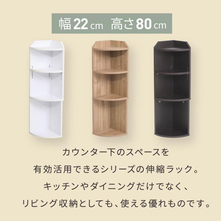 JK-PLAN（ジェイケイ・プラン） カウンター下収納 薄型 コーナーラック 