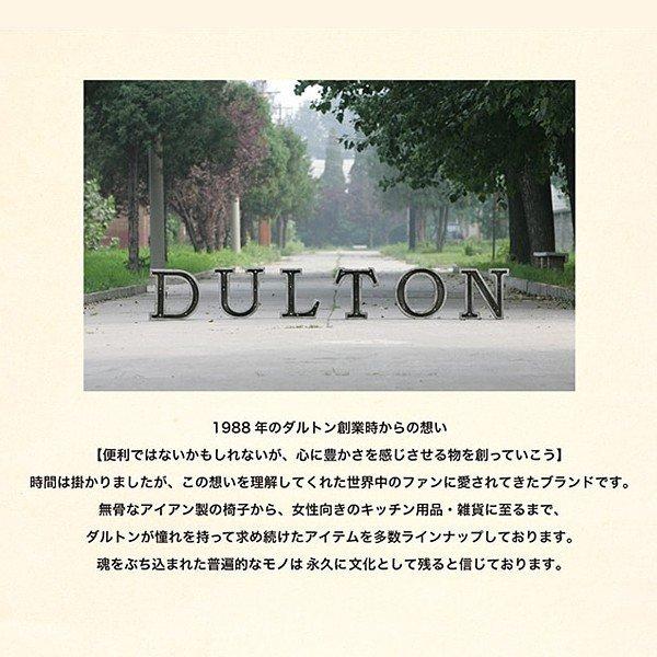 DULTON（ダルトン） 椅子 ガーデニングチェア ベランダ 屋上
