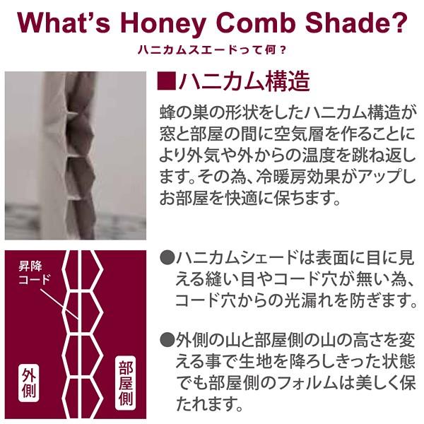 フルネス（Fullness） ハニカムシェード 幅60cm 高さ135cm 無地 断熱