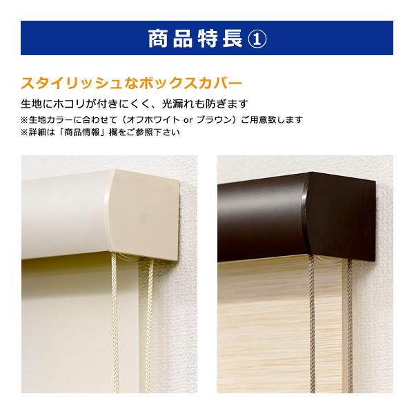 ロールスクリーン 180×220cm ボックスカバー 光漏れ防止 子ども部屋 天井 正面付け ロールカーテン ロールアップ 間仕切り 目隠し コード 操作 取り付け 簡単 | フルネス | 03
