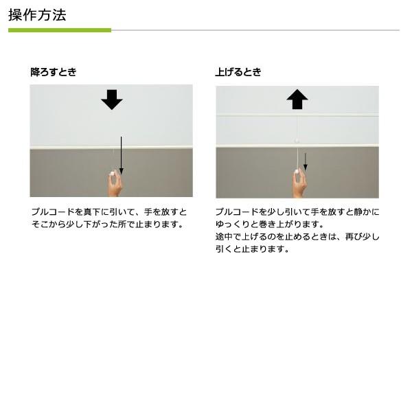 フルネス（Fullness） ロールスクリーン ロールカーテン 幅120cm 高さ