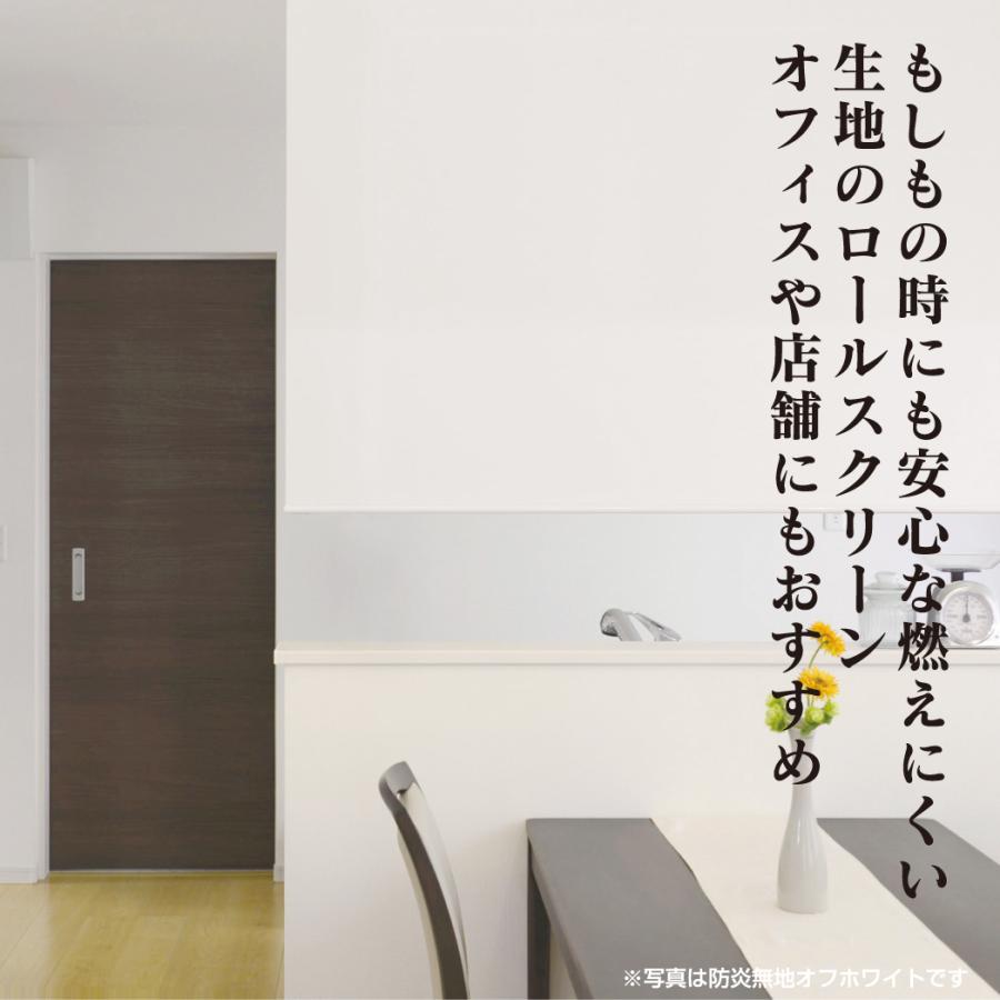 ロールスクリーン オーダー 防炎認定 正面付け 天井付け シンプル おしゃれ 間仕切り 目隠し オフィス 会社 店舗 学校 施設 白 ホワイト ロールアップ カーテン_1