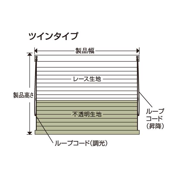 フルネス（Fullness） ハニカムシェード ツイン 遮光1級 オーダー