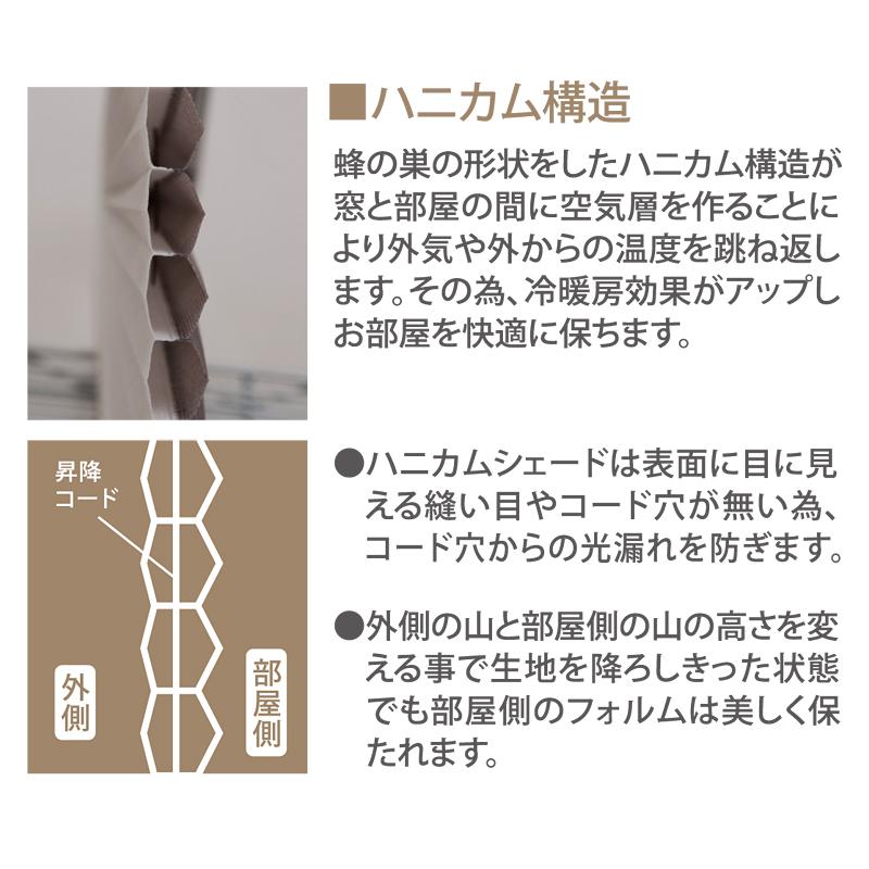 フルネス（Fullness） ハニカムシェード ツイン 遮光1級 オーダー