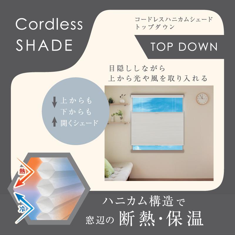 フルネス シェードカーテン ハニカムシェード コードレス 60 cm フルネス シェードカーテン ハニカムシェード コードレス 60 cm
