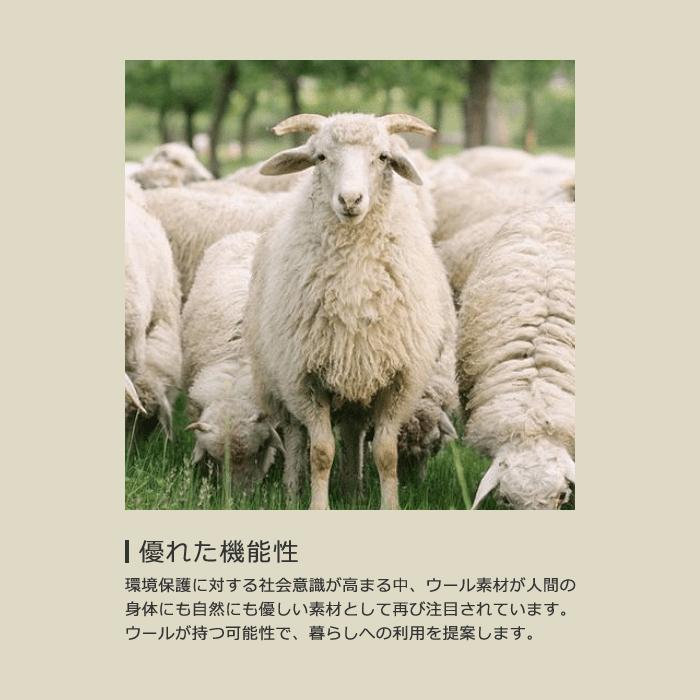 毛氈 赤 紺 書道 雛人形 茶室 和室 毛せん カーペット 縁台 廊下 防炎