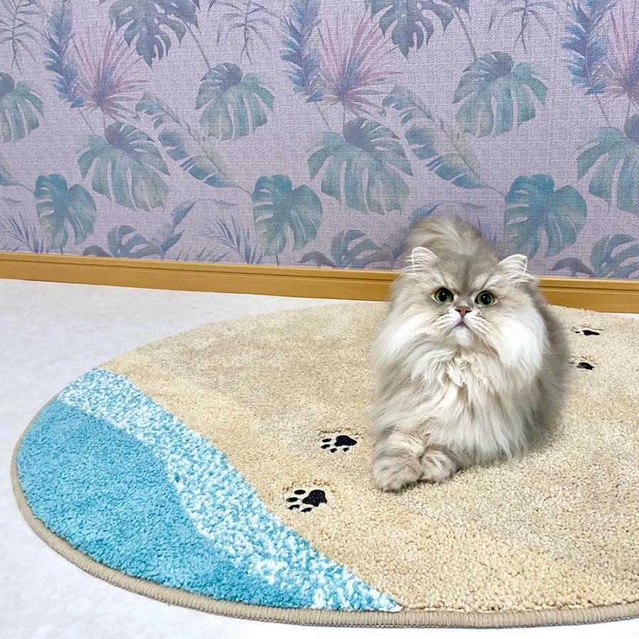 玄関マット 室内用 エントランス ドアマット ラグマット