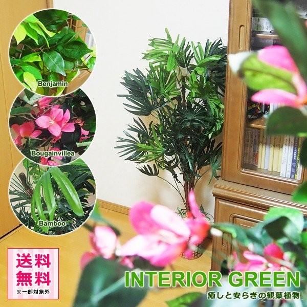 うさぎ屋 株式会社一兎 造花 観葉植物 人工物 通販 造木 オフィス 玄関 大型 店舗 偽物 おしゃれ 店舗 造木 ベンジャミン ブーゲンビリア フェイクグリーン インテリア リアル 観音竹 職場 室内 観葉植物