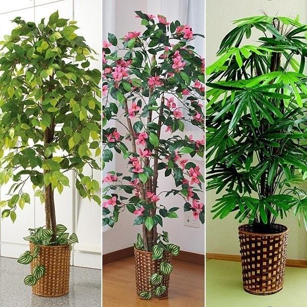 谷村実業 観葉植物 造花 フェイクグリーン 大型 造木 インテリア  