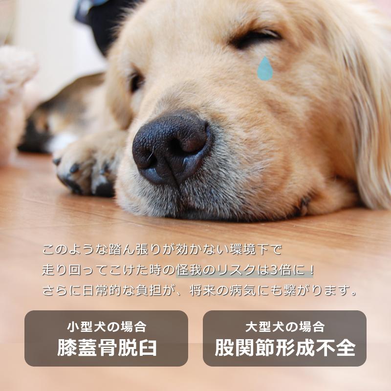 ツジトミ タイルカーペット 吸着 置くだけ 敷くだけ 安い セット ツジトミ タイルカーペット 吸着 置くだけ 敷くだけ 安い セット