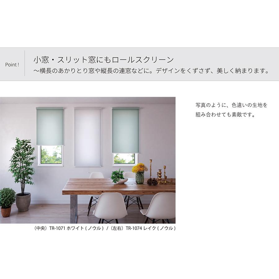 立川機工 ロールスクリーン オーダー サイズ W25-40×H30-90cm 立川機工 ロールスクリーン オーダー サイズ W25-40×H30-90cm