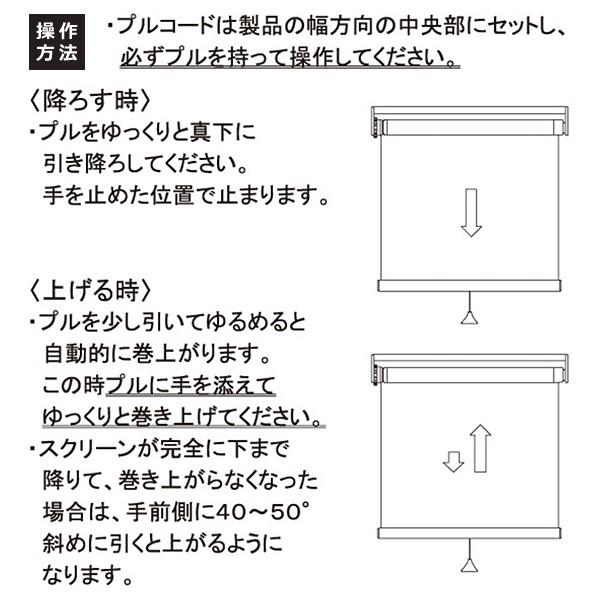 立川機工 ロールスクリーン 遮光2級 幅170cm 高さ180cm 天井付け 正面