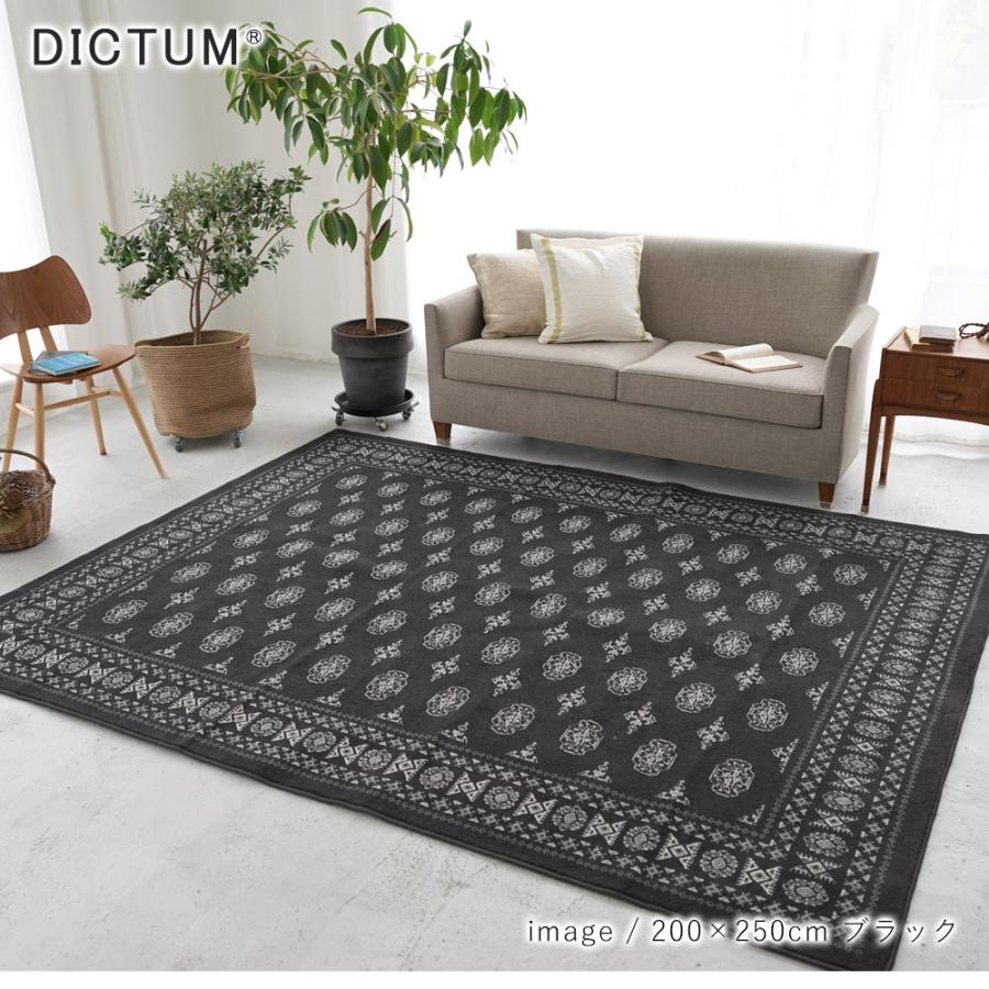 ERARE（エラーレ） ラグ 200×250cm 北欧 おしゃれ ラグマット マット