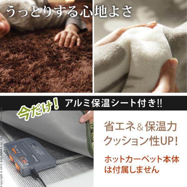 ラグ 1畳用 単品 カバーのみ 190×100cm 長方形 ホットカーペット用 
