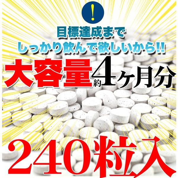 ダイエットサプリ フォースコリー 日本製 サプリメント 痩せ 体脂肪 燃焼 コレウスフォルスコリエキス フォルスコリン セルロース 大容量｜usagi-shop｜06