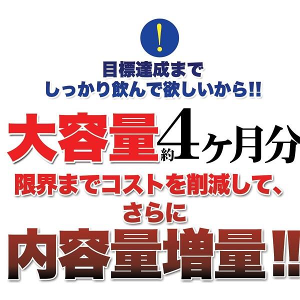 メリロート サプリメント Lシトルリン スラリート むくみ 足 立ち仕事 冷え 美容 美脚 ダイエット 運動不足 睡眠 錠剤 健康 アミノ酸 国産｜usagi-shop｜07