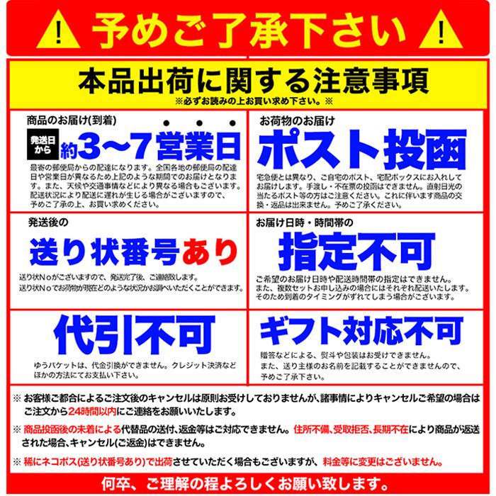 盛岡冷麺 スープ付き 冷麺 冷めん 生麺 レーメン ピリ辛スープ コチュジャン 蒸練製法 α化 糊化 名産 出汁 だし タレ 美味しい ポスト投函｜usagi-shop｜09