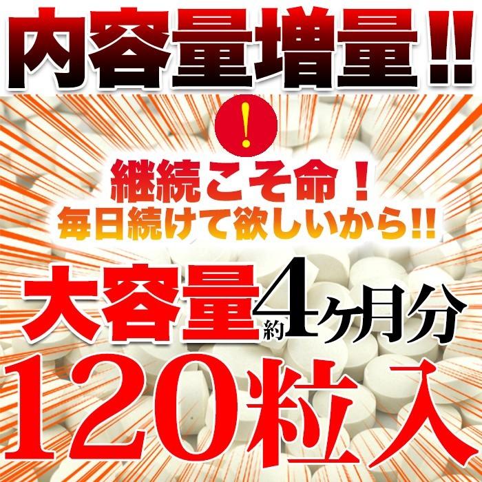 セサミン サプリメント 黒胡麻 黒ゴマ ごま すっぽん スッポン ツバメの巣 マカ アンデス人参 栄養素 食生活 国産 元気 活力 日本製 大容量｜usagi-shop｜07