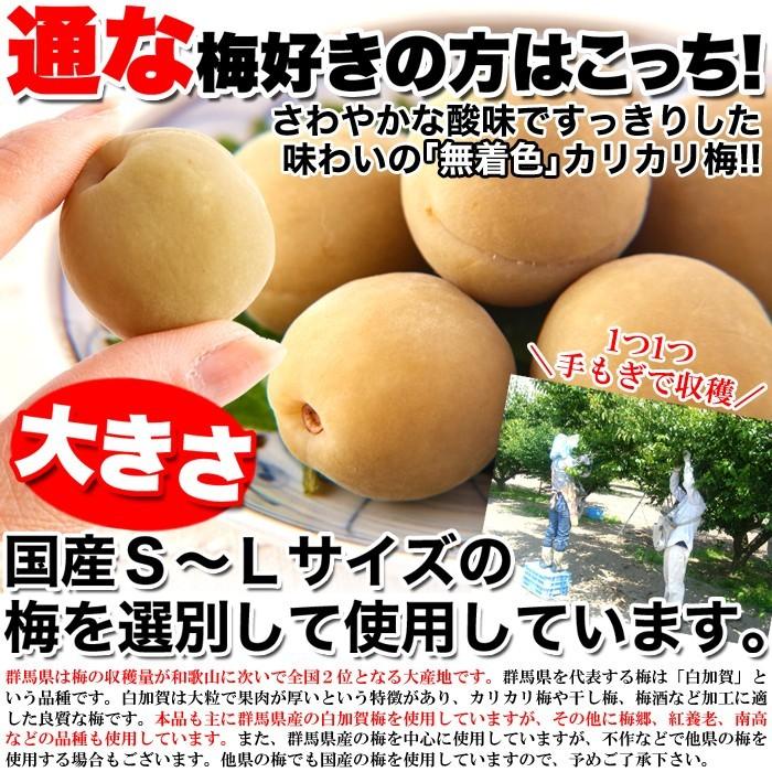 カリカリ梅 500g 無着色 お徳用 国産 かりんこ梅 ウメボシ うめぼし 梅干し 着色料不使用 ヘルシー 国内製造 個包装 白加賀 大粒 肉厚 果肉｜usagi-shop｜04