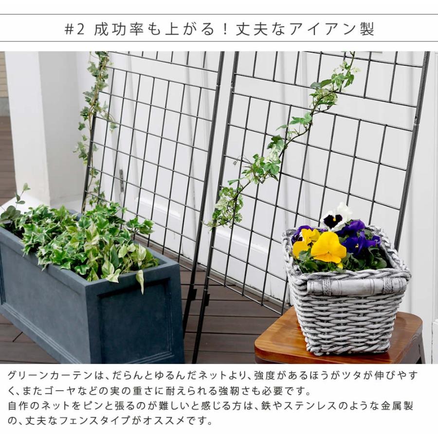 特別セール品 ガーデンフェンス グリーンカーテン用 アイアン製 立て掛け ベランダ 庭 園芸 蔦 ツタ 植物 バラ Riosmauricio Com