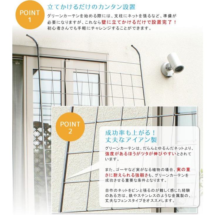 フェンス つる性植物 ベランダ 玄関 グリーンカーテン カーテンフェンス 屋外用 フレーム ガーデニング 枠 柵 目隠し Sms Jk 1218hts うさぎ屋 株式会社一兎 通販 Yahoo ショッピング