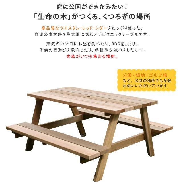 ガーデンテーブル 木製 日本製 パラソル穴 四人掛け テーブル 屋外