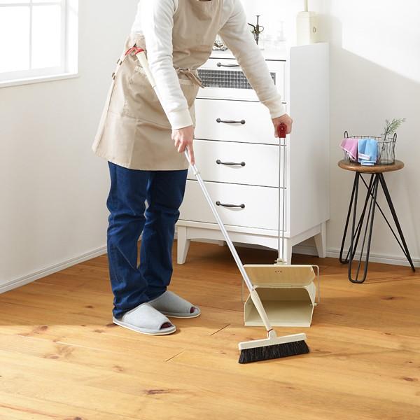 塵取り ちりとり フタつき おしゃれ 掃除道具 ロングダストパン