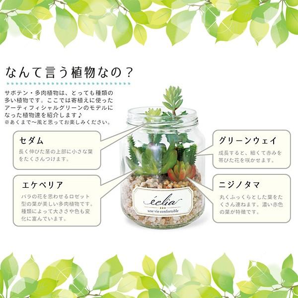 多肉植物 サボテン インテリア フェイクグリーン 観葉植物 CT触媒 消臭