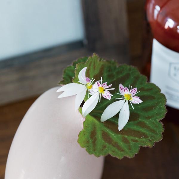 一輪挿し 花瓶 おしゃれ 陶器 SACCO 03 サッコ 柴田文江 kinto